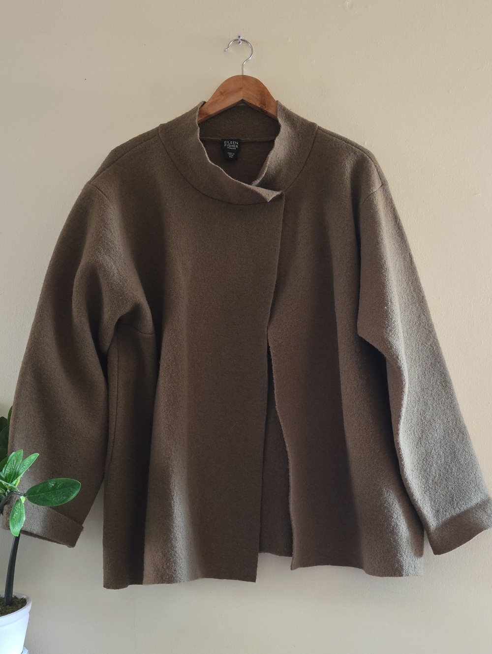 Eileen Fisher Woman